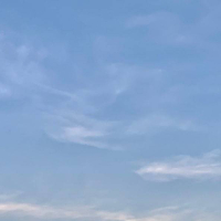 流浪赌徒